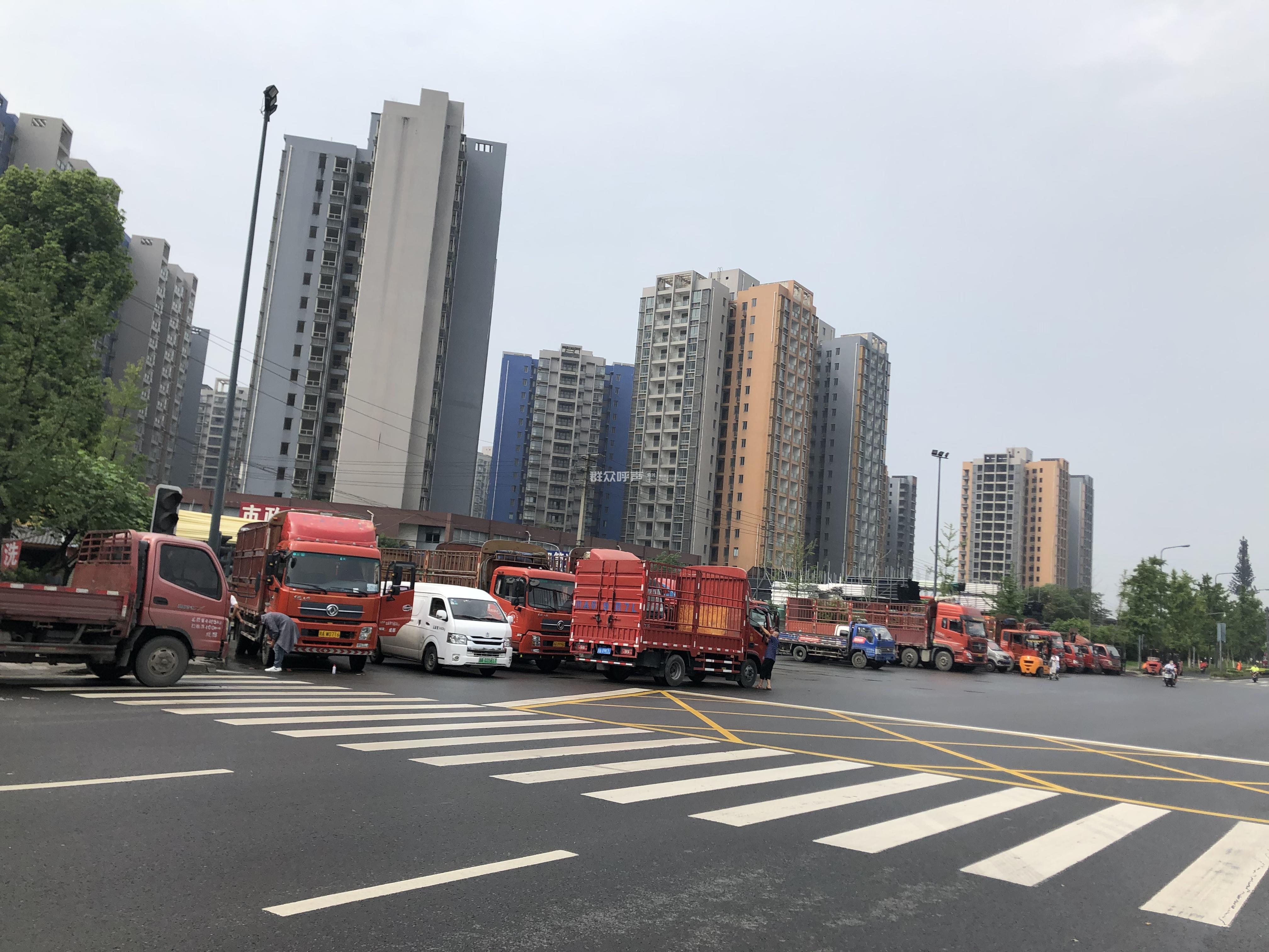 金芙蓉大道长期占道停车-群众呼声-四川网络问政理政平台-四川省成都