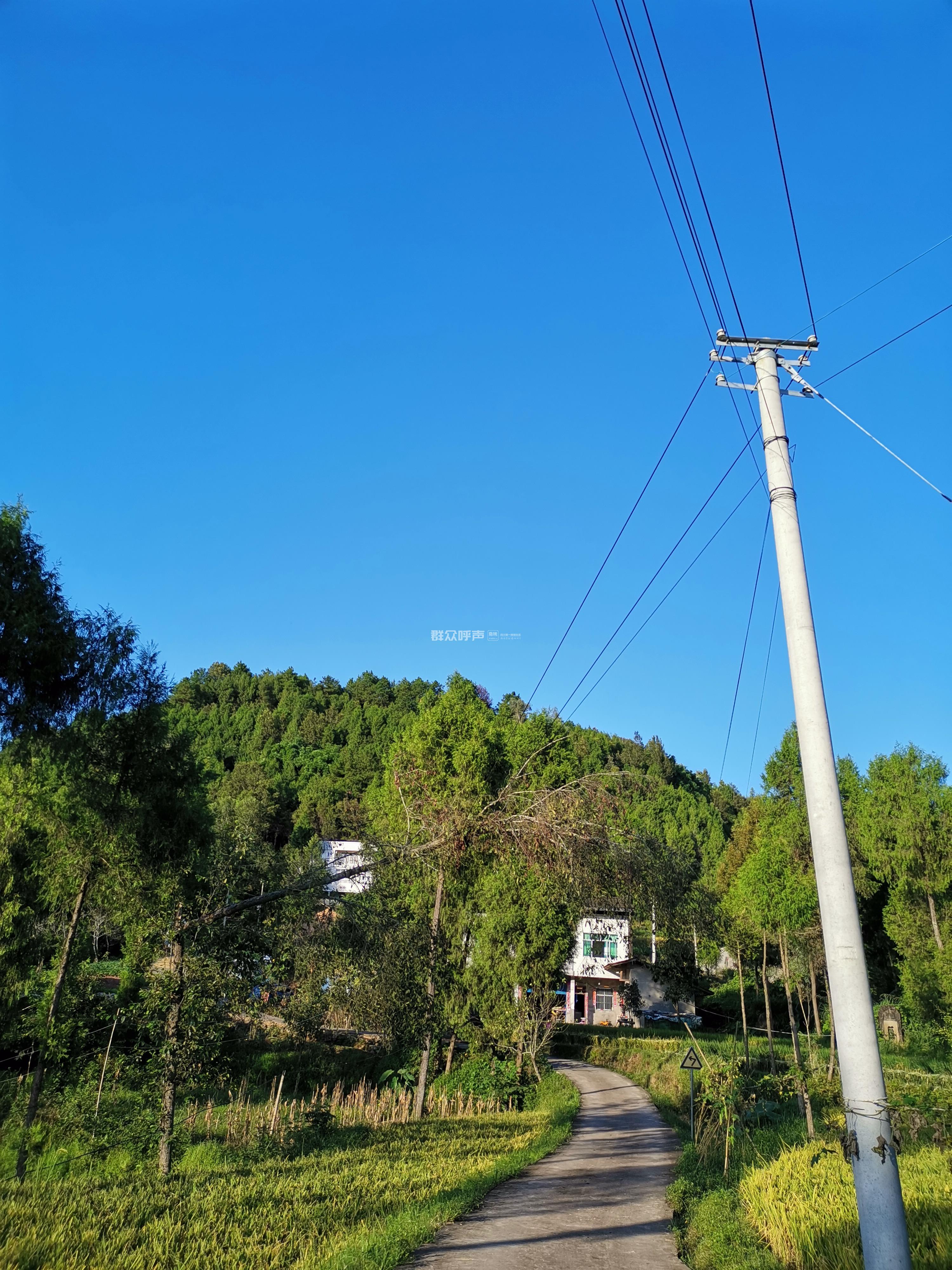 平昌兰草镇电管所不作为老白姓顶着生命高压线
