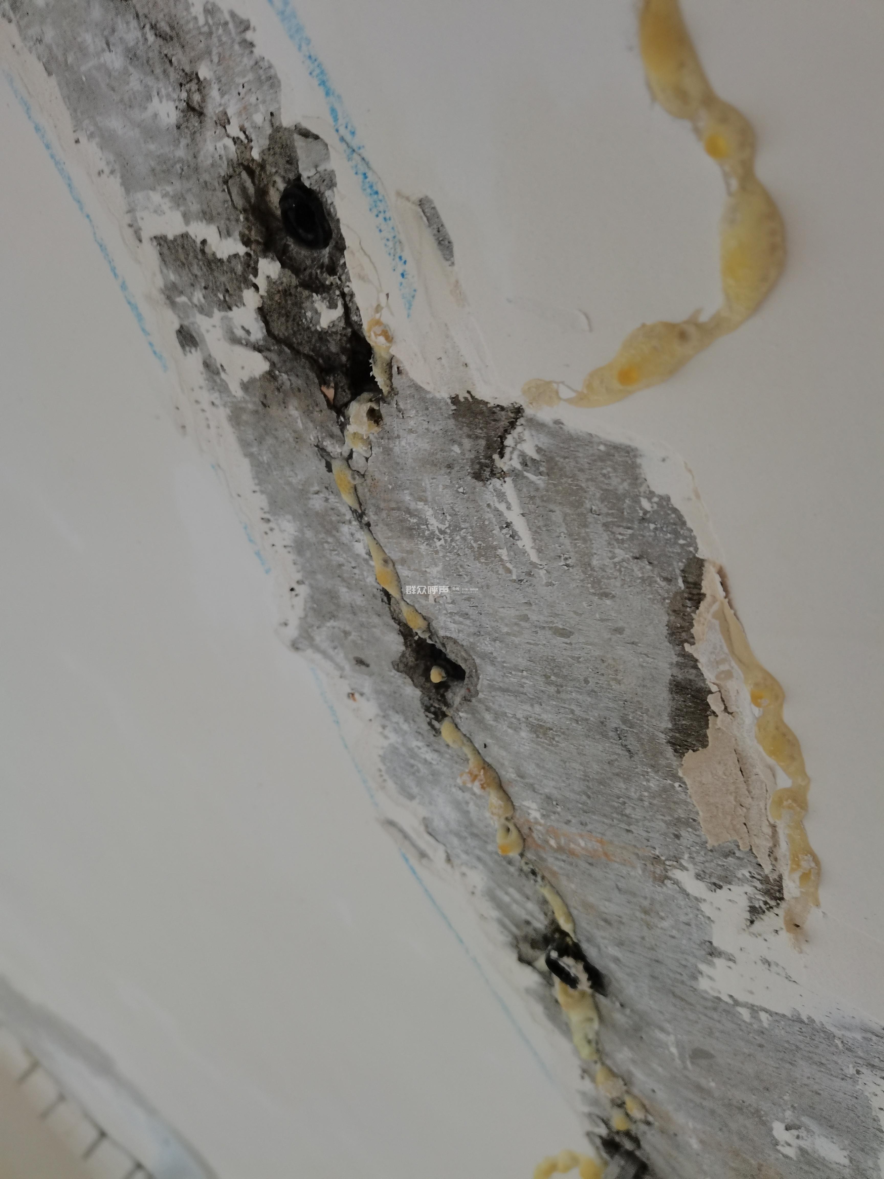 新房大面积贯穿性裂缝,请求政府主持公道已办结投诉城建房屋质量分享