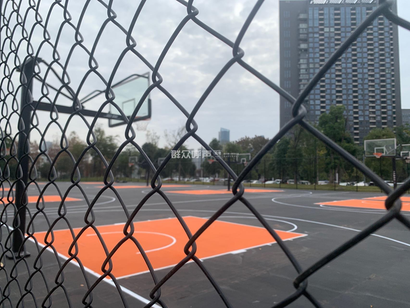 篮球场没有修夜灯-群众呼声麻辣问政-四川省网上群众工作平台-成都