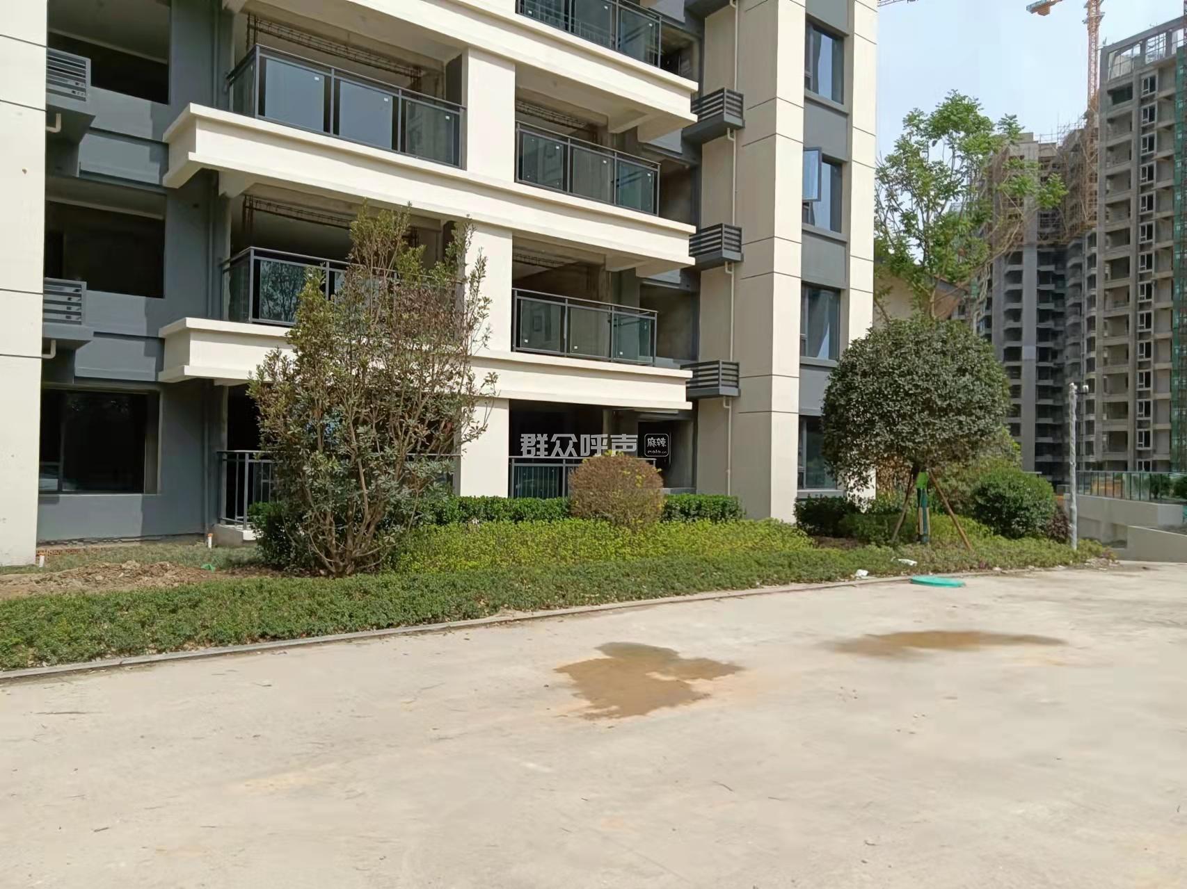 眉山天府新区视高街道滨江睿城小区绿化问题