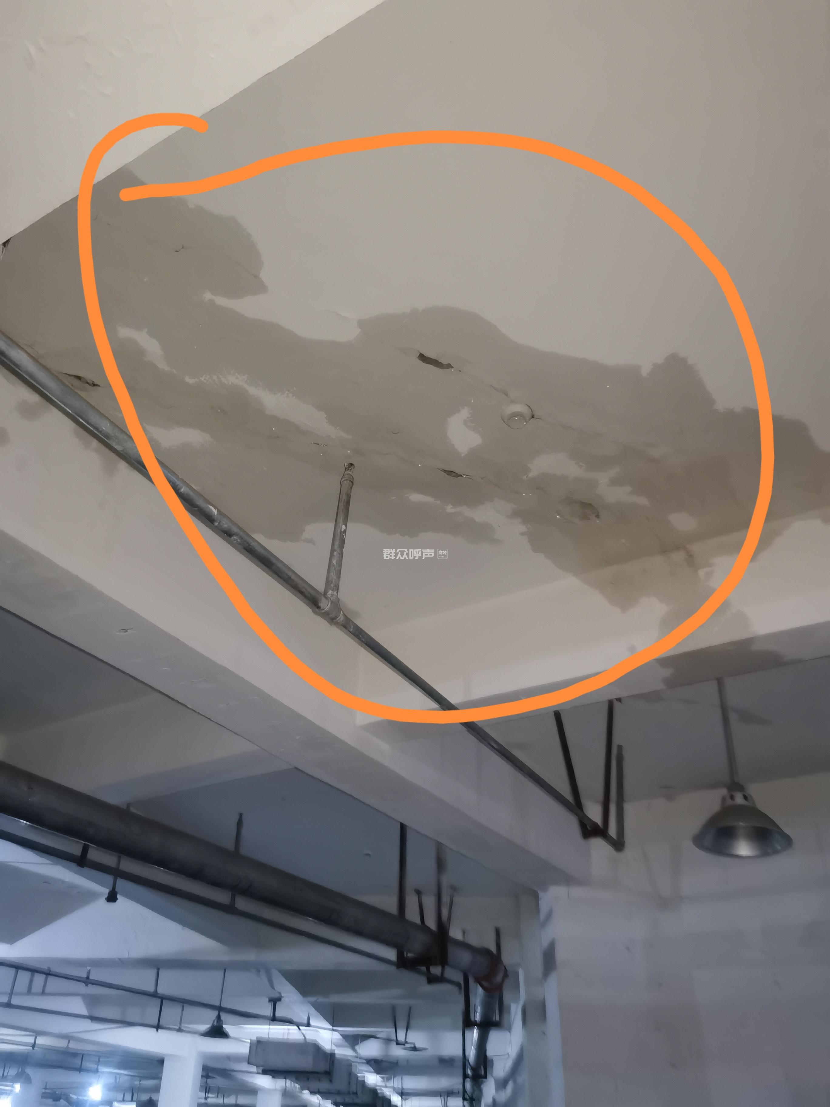 成都市成华区委书记