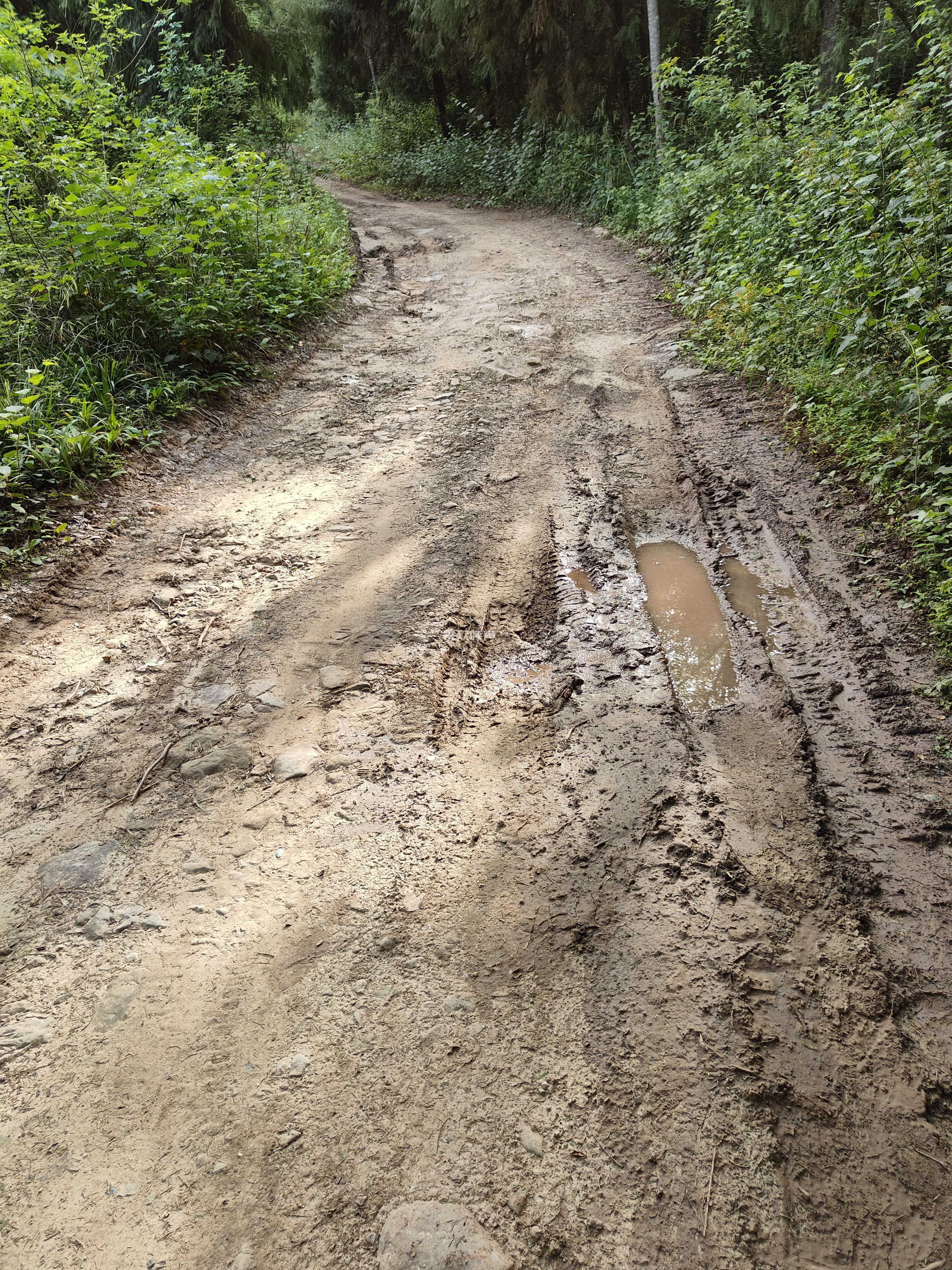村道路泥泞通行十分不便