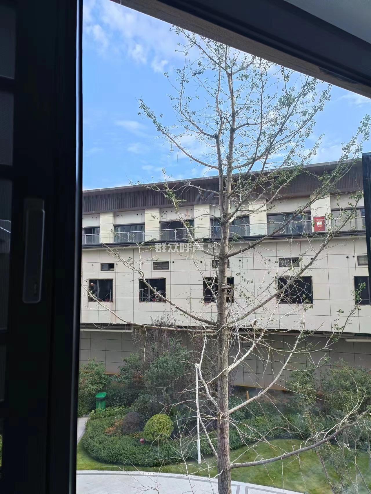 锦江公馆-群众呼声麻辣问政-四川省网上群众工作平台-西昌市委书记