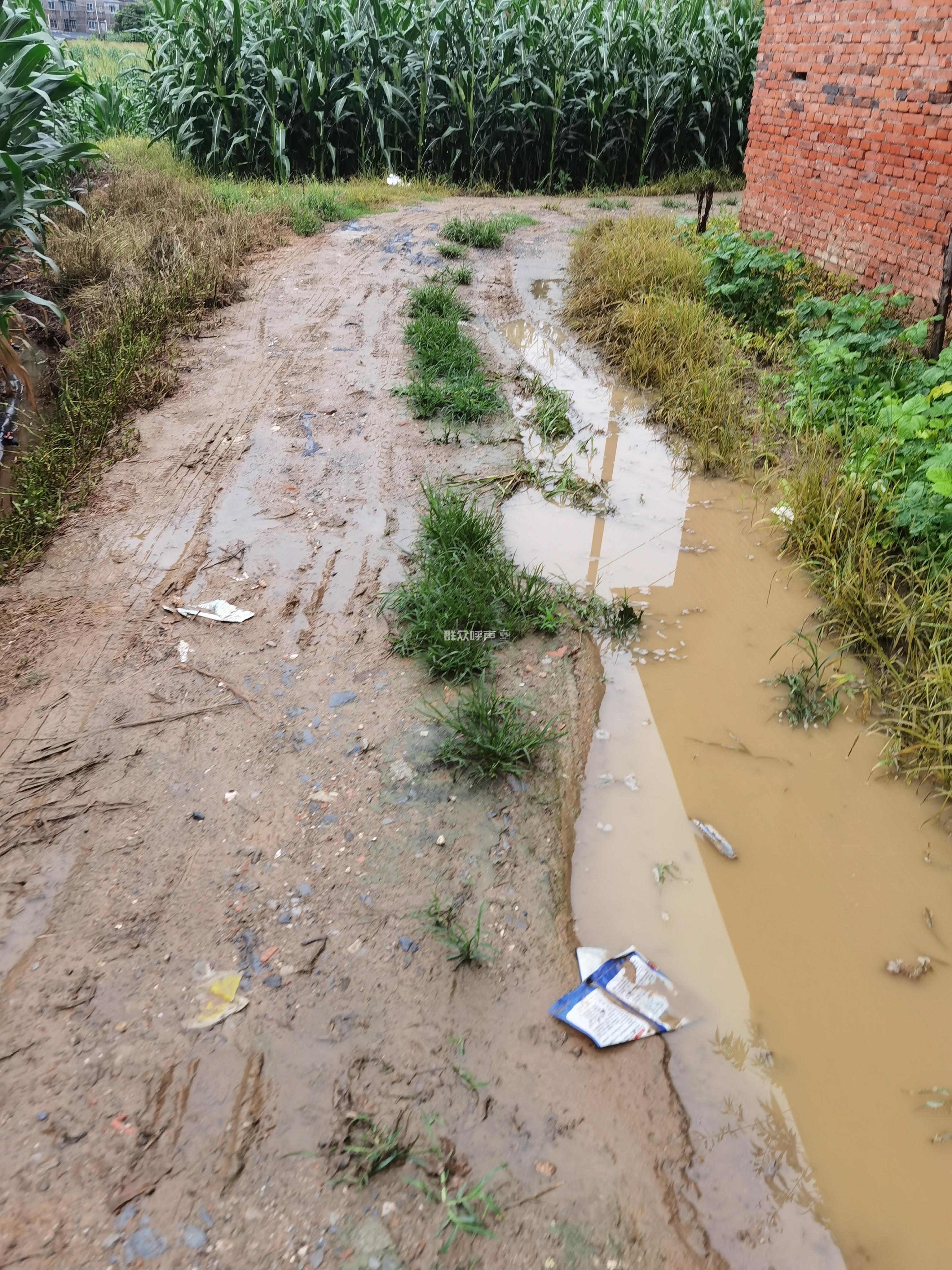 群众呼声四川问政-四川省网上群众工作平台-绵阳市委书记