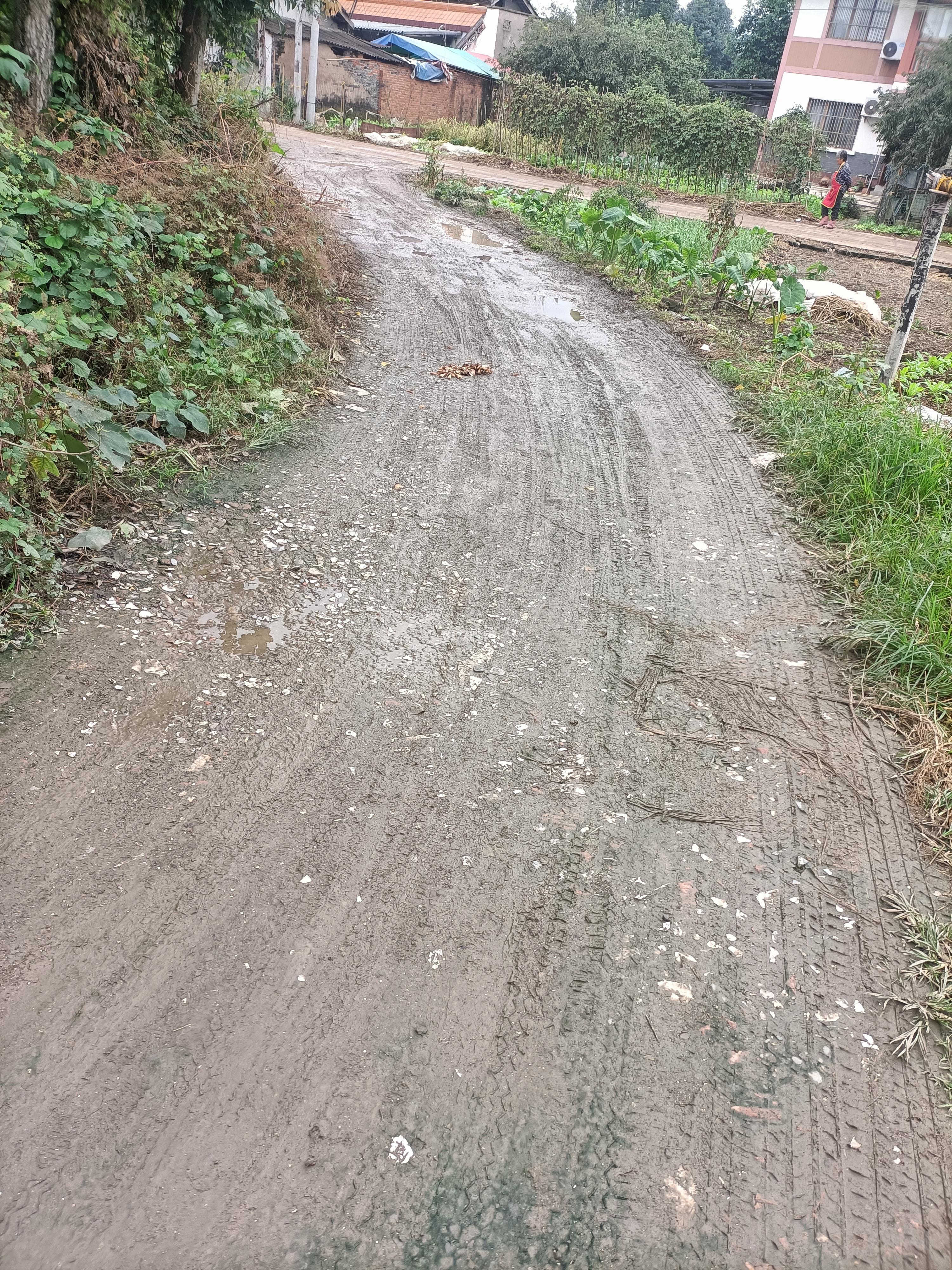 几十年村道全是泥路需修水泥道