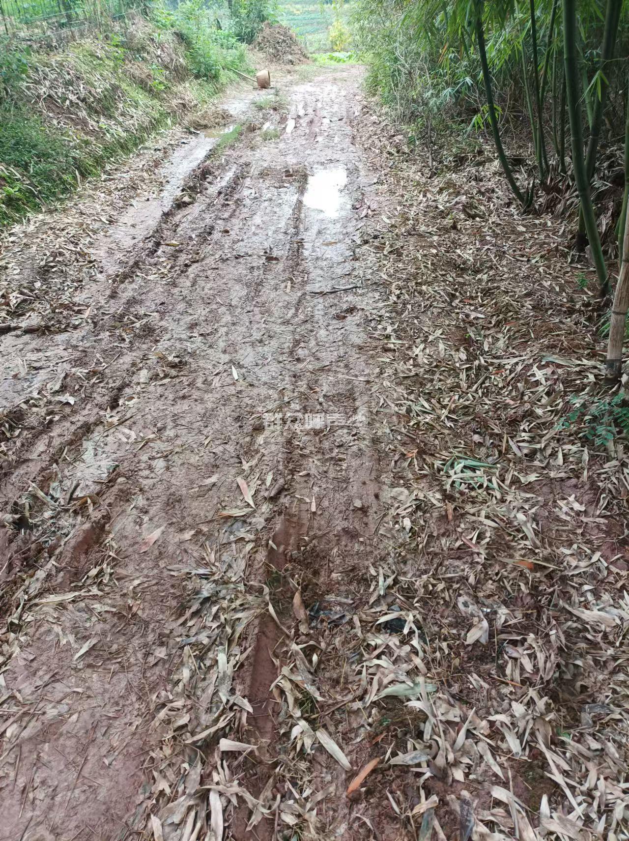关于旭照村泥泞道路通行困难问题的反映