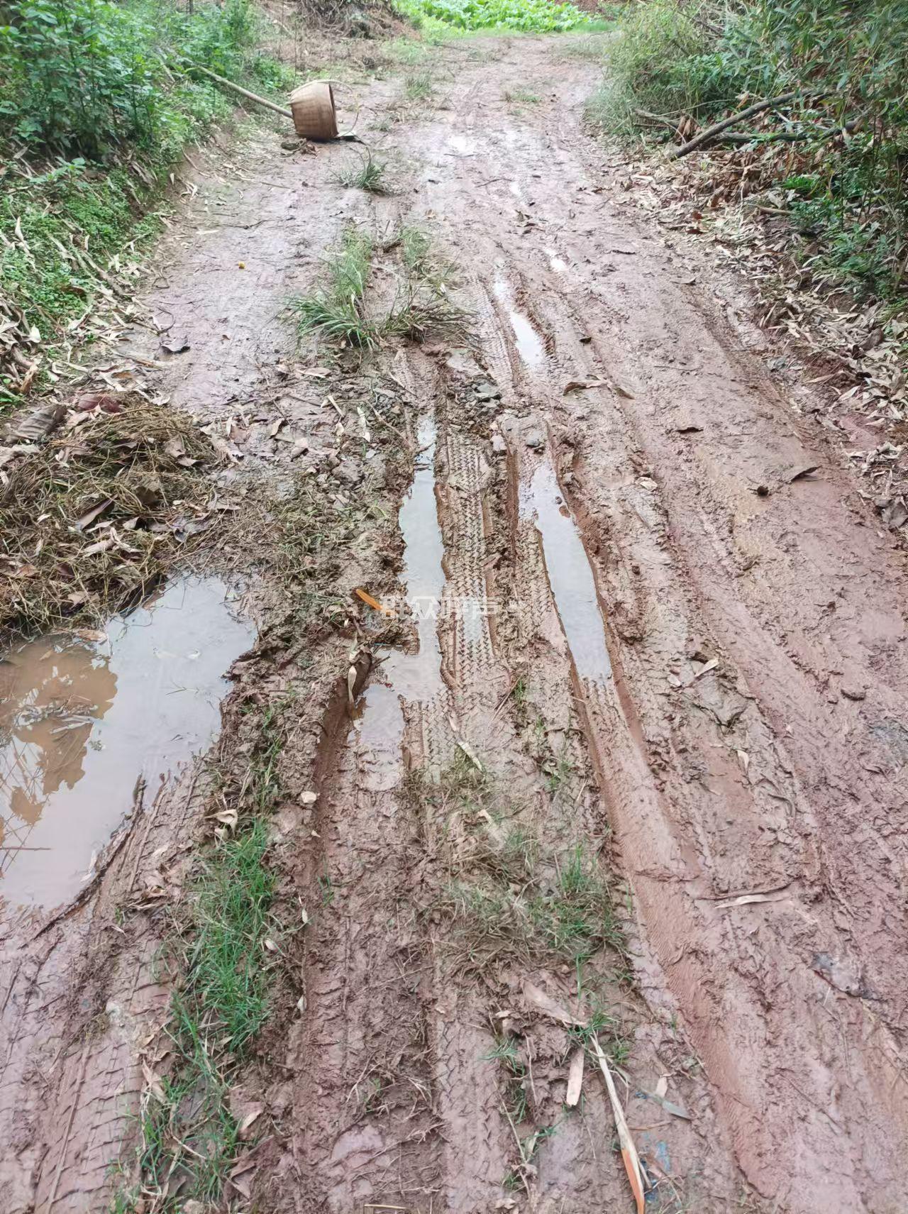 关于旭照村泥泞道路通行困难问题的反映