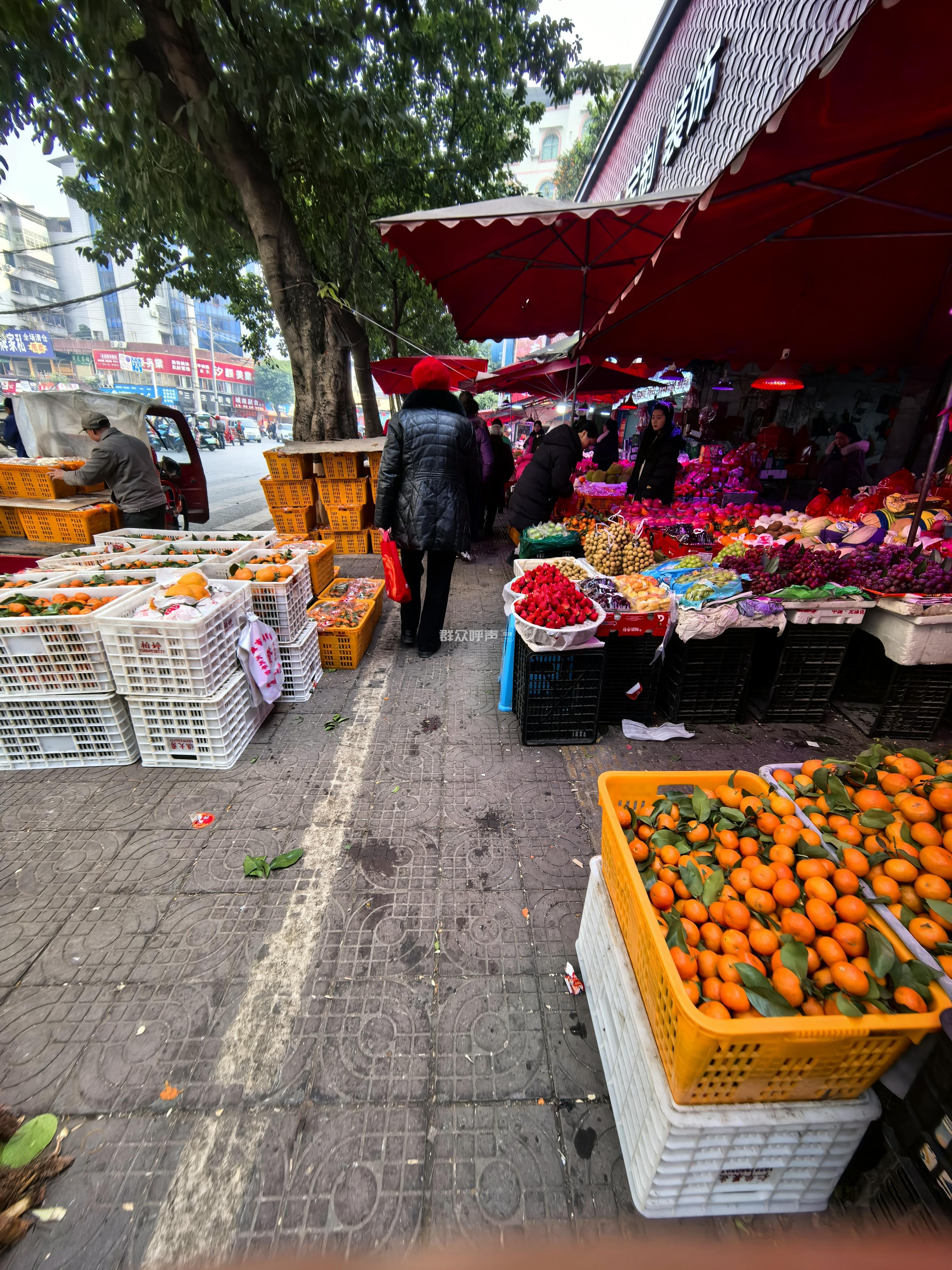 南门外的水果摊常年占道经营无人问津