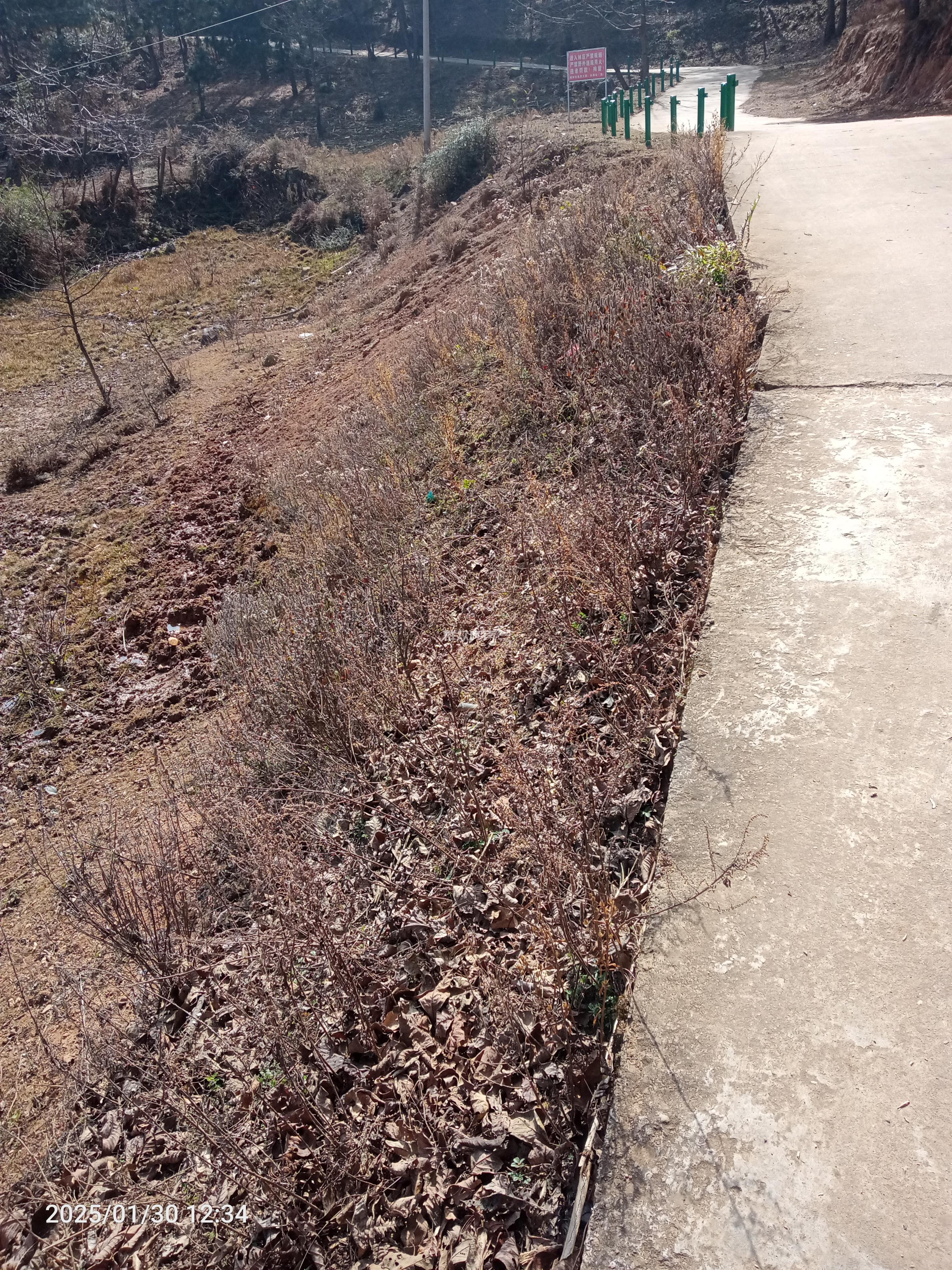 西昌市海南街道白庙村老二组村通道路问题